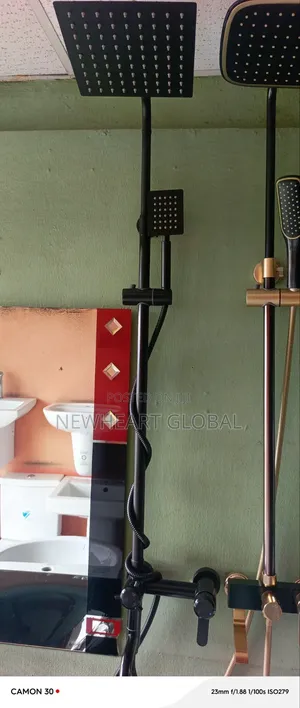 Quality Luxury Black Standing Shower