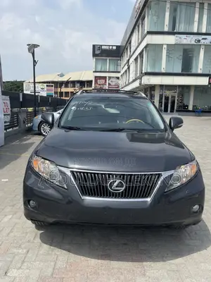 Lexus RX 2010 Gray