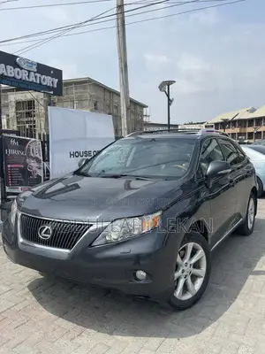 Lexus RX 2010 Gray