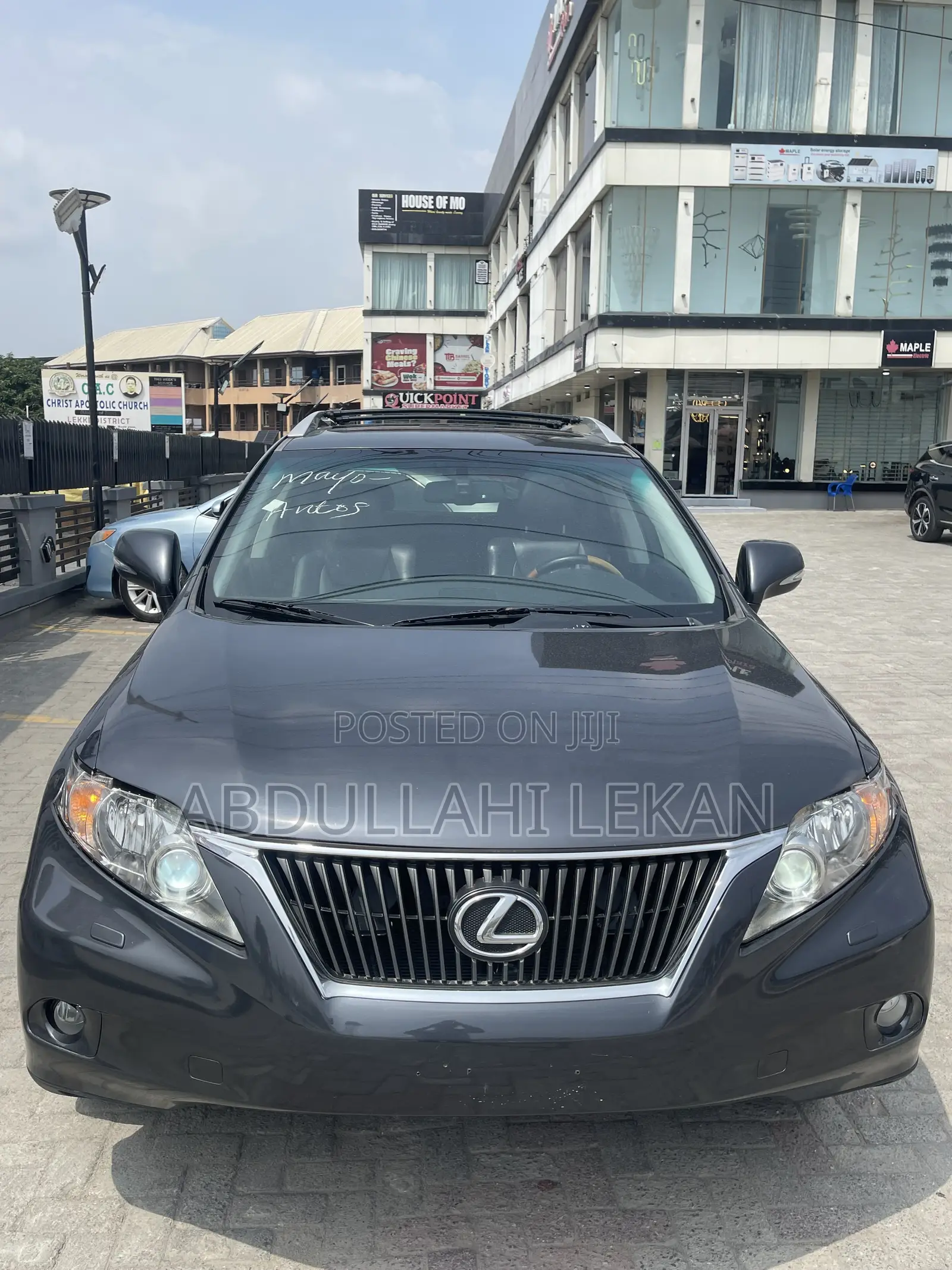 Lexus RX 2010 Gray