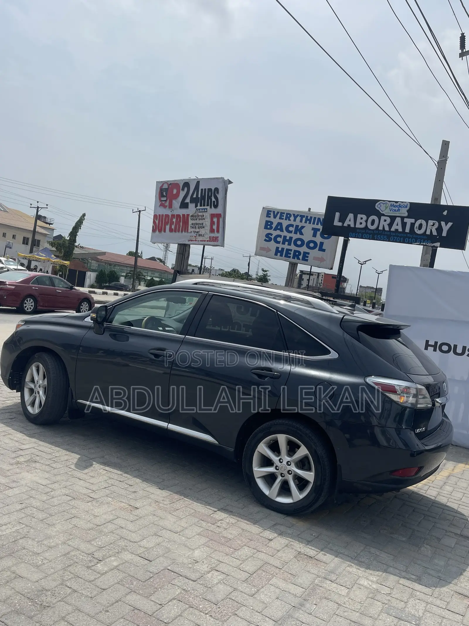 Lexus RX 2010 Gray