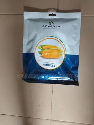 Hybrix 53 Sweet Corn