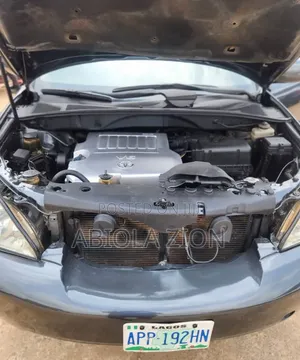 Lexus RX 350 2008 Gray