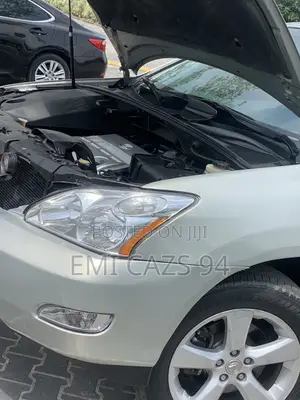 Lexus RX 2005 Gray