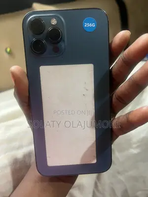 Apple iPhone 12 Pro Max 256 GB Blue