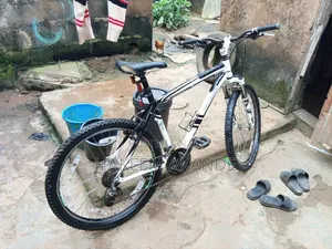 Bicycle Ride
