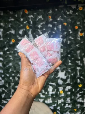 10pcs Wardrobe Deodorizer/ Moisture Absorbing Sachet