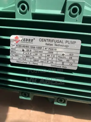 10hp PEDRO Surface Pump