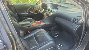 Lexus RX 350 2010 Gray