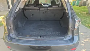 Lexus RX 350 2010 Gray