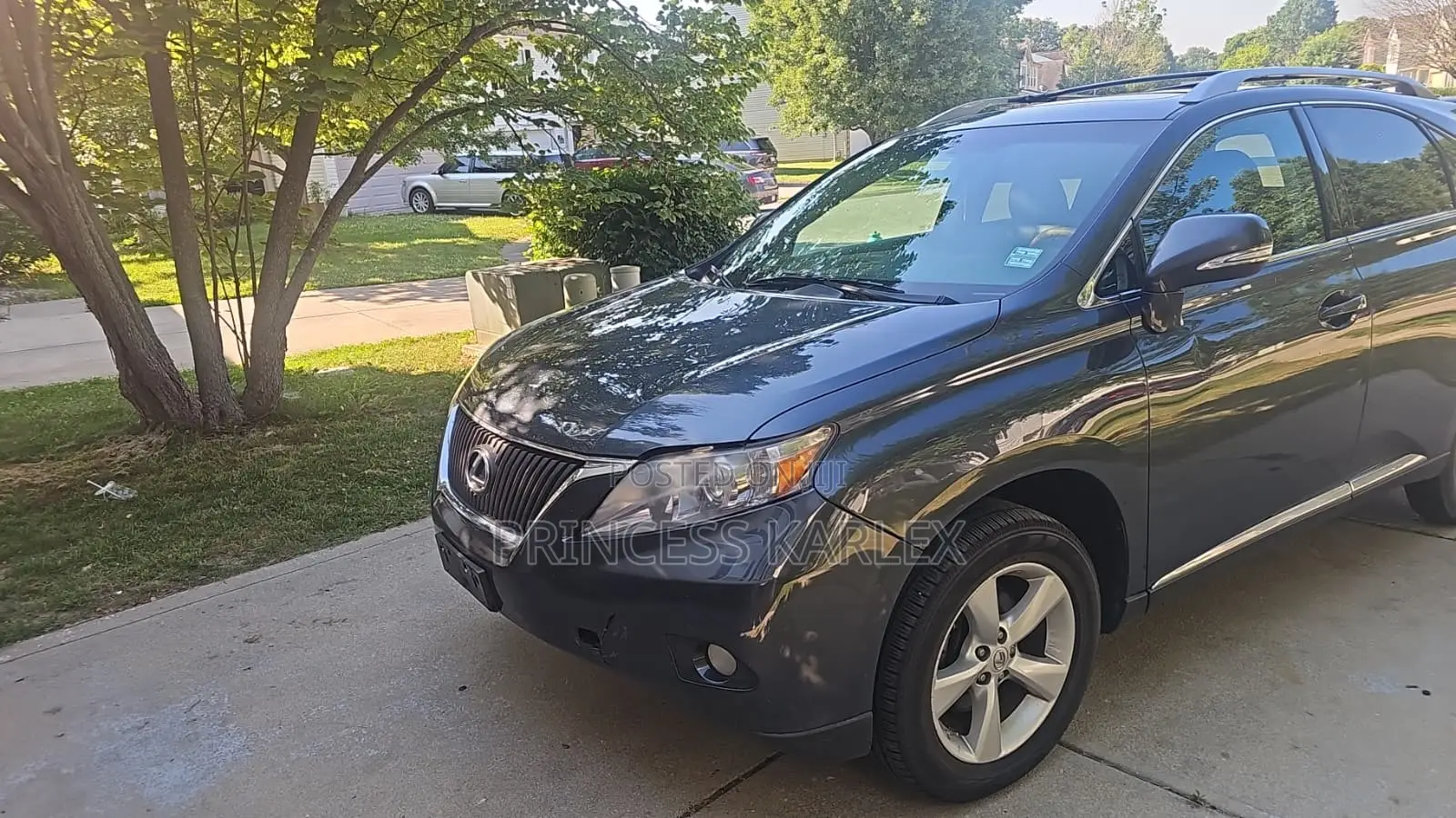 Lexus RX 350 2010 Gray