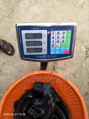 Cat Fish Production