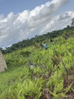 Plot of Land for Sale
