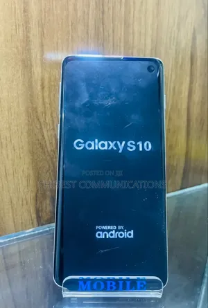 Samsung Galaxy S10 128 GB Blue