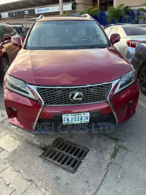 Lexus RX 2010 Purple
