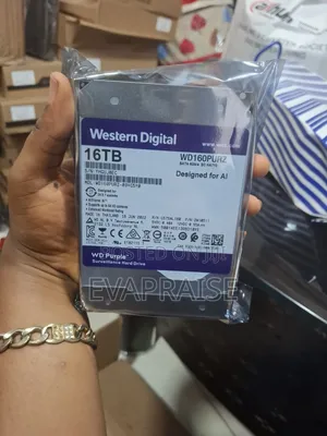 Western Digital