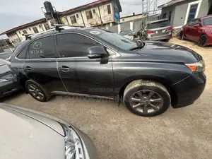 Lexus RX 2010 Gray