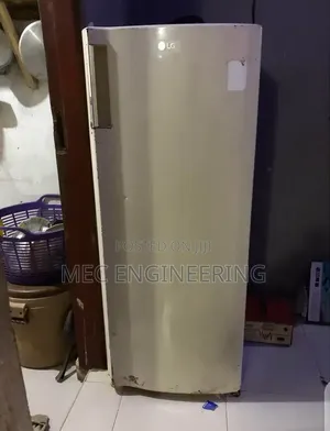 LG Standing Refrigerator