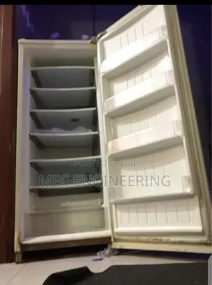 LG Standing Refrigerator
