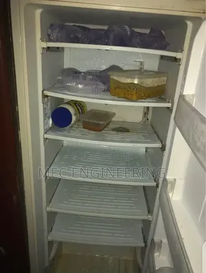 LG Standing Refrigerator