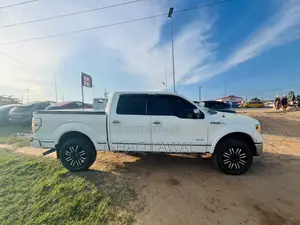 Ford F-150 2013 White
