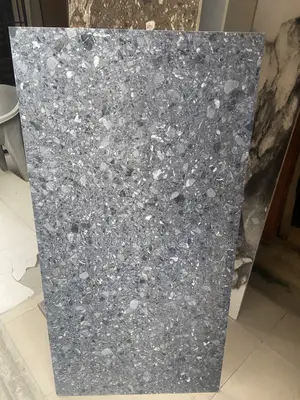 High Quality Floor Tiles 60 by 120 China Product