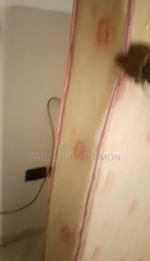 6 by 6 Mattress