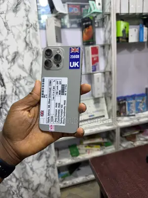 Apple iPhone 15 Pro 256 GB Gray