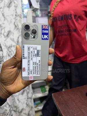 Apple iPhone 15 Pro 256 GB Gray