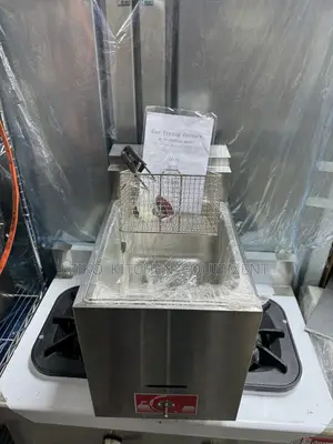 Single Gas Fryer 10L