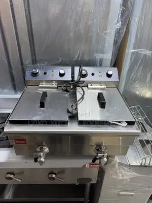Electric Gas Fryer Double Basket