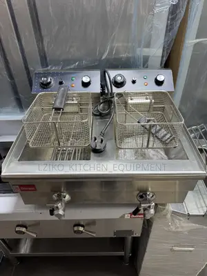 Electric Gas Fryer Double Basket