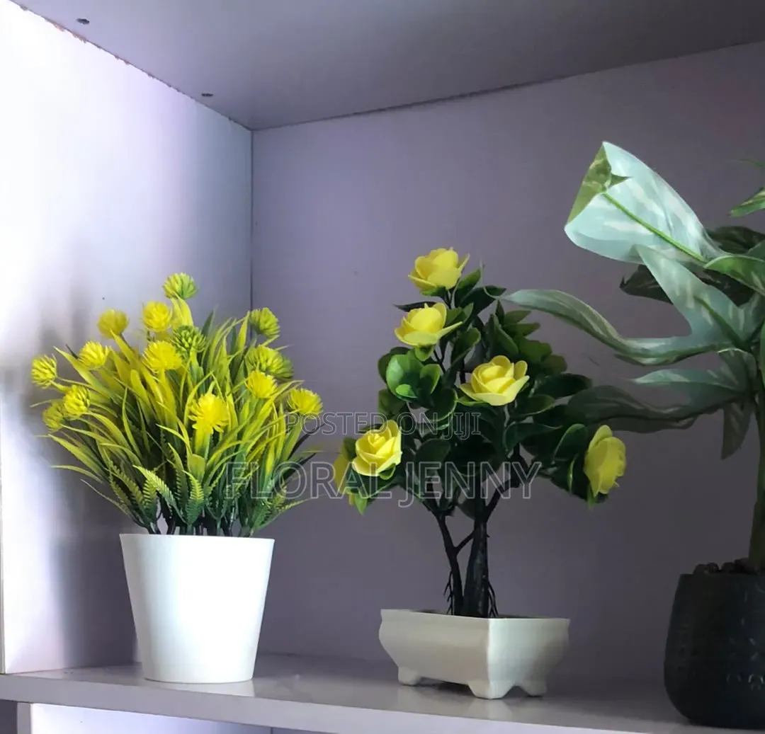 High Quality Fancy Cup Flowers for Your Interior Designs