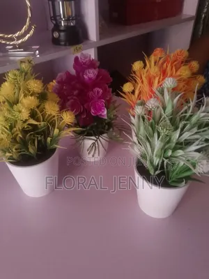 High Quality Fancy Cup Flowers for Your Interior Designs