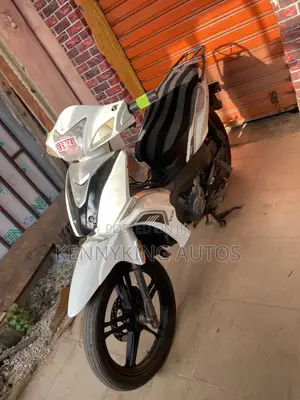 Qlink Reiz 110 2024 White