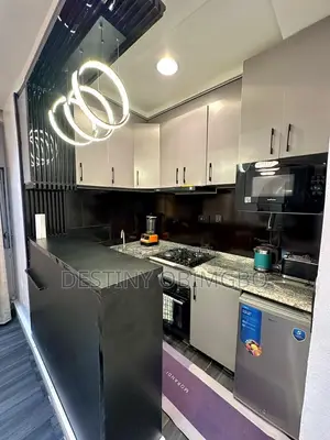 Two Spacious Modern Bedroom Apartment