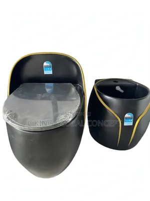 Brand New Luxury Matte Black Gold Trim Floor Standing Toilet Set