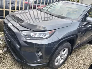 Toyota RAV4 XSE 2019 Gray