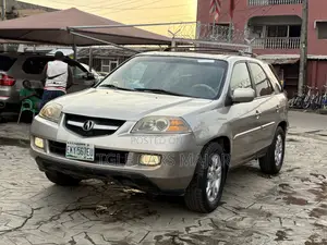 Acura MDX Touring Package 2004 Gold