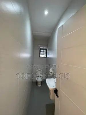 2bdrm Apartment in Ologolo for rent