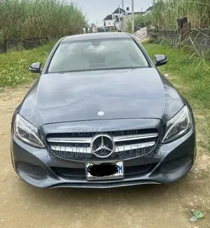 Mercedes-Benz C300 Luxury 4dr AWD 4Matic Sedan (2.0L 4cyl 7A) 2015 Gray