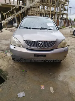 Lexus RX 330 2006 Gray