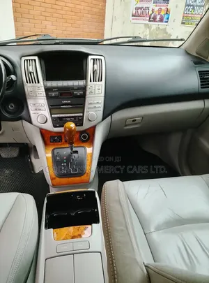 Lexus RX 330 2006 Gray