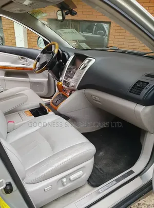 Lexus RX 330 2006 Gray