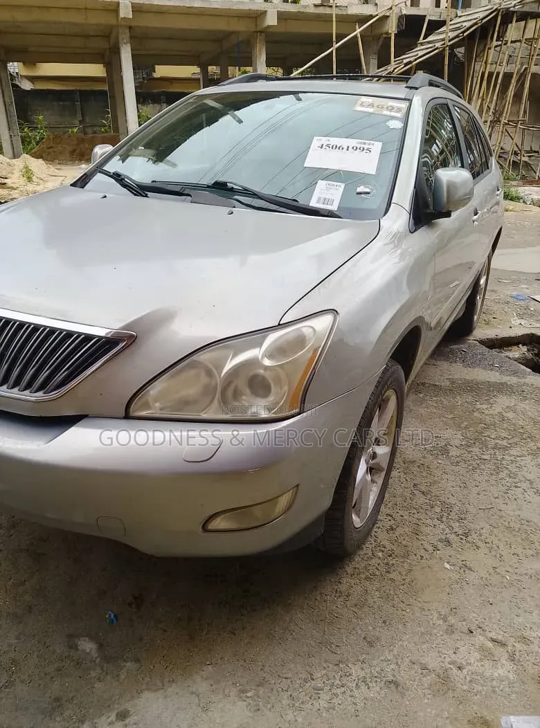 Lexus RX 330 2006 Gray
