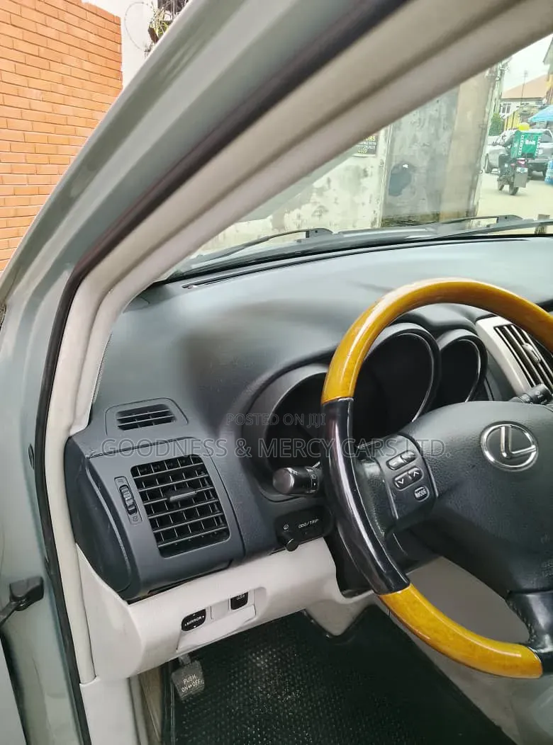 Lexus RX 330 2006 Gray