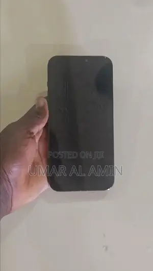 Apple iPhone 12 Pro Max 256 GB Blue