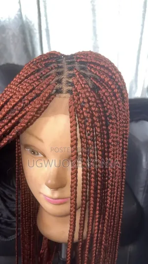 Beautiful Braided Wigs for Ladies