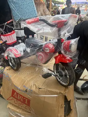 Tricycle for Little Children