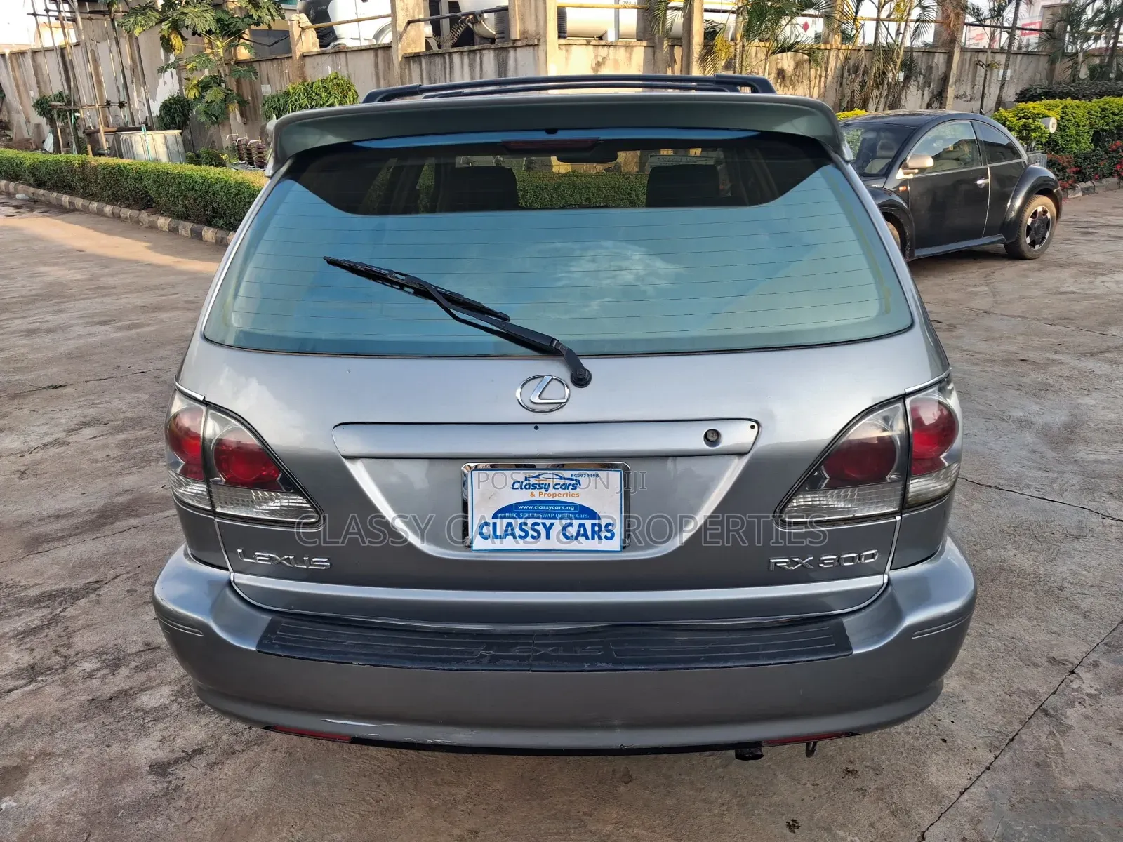 Lexus RX 300 2WD 2002 Gray